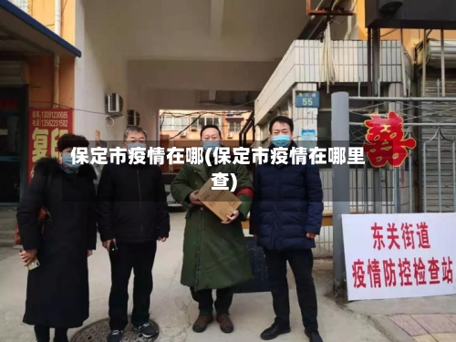 保定市疫情在哪(保定市疫情在哪里查)-第3张图片