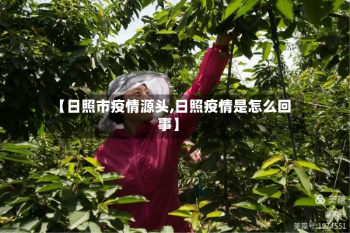 【日照市疫情源头,日照疫情是怎么回事】