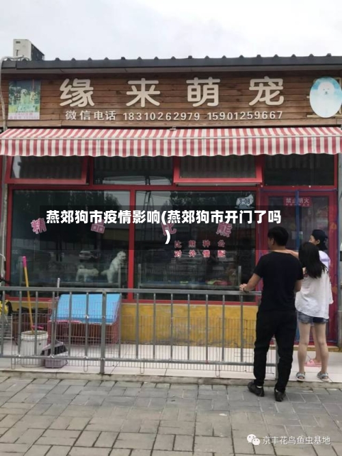 燕郊狗市疫情影响(燕郊狗市开门了吗)
