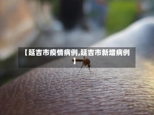 【延吉市疫情病例,延吉市新增病例】