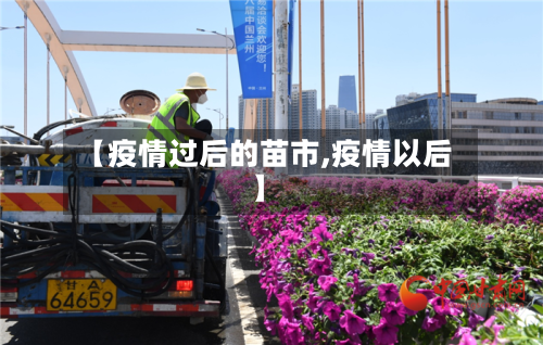 【疫情过后的苗市,疫情以后】-第2张图片