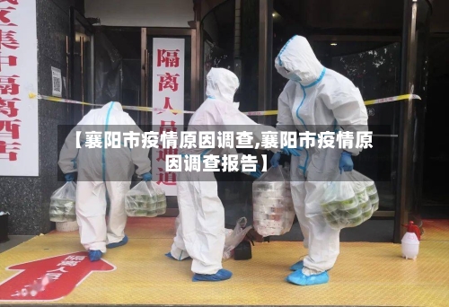 【襄阳市疫情原因调查,襄阳市疫情原因调查报告】