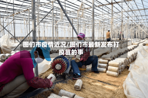 图们市疫情近况/图们市最新发布打疫苗的事-第2张图片