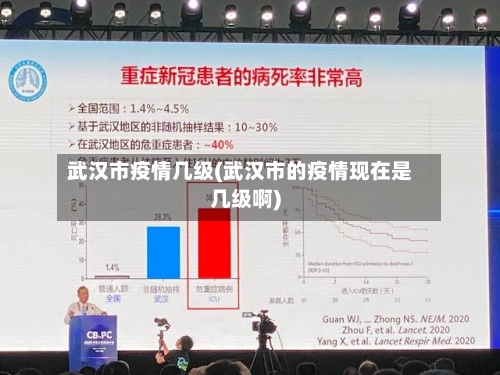 武汉市疫情几级(武汉市的疫情现在是几级啊)-第3张图片