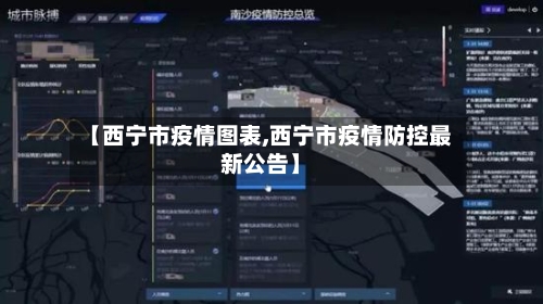 【西宁市疫情图表,西宁市疫情防控最新公告】-第2张图片