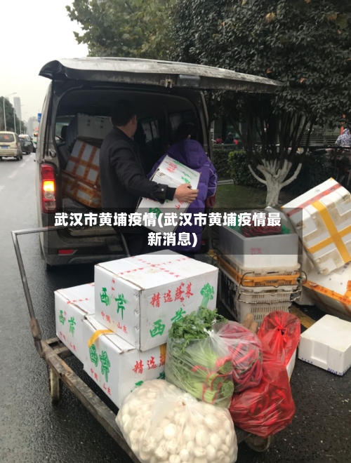 武汉市黄埔疫情(武汉市黄埔疫情最新消息)