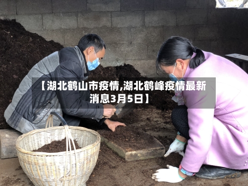 【湖北鹤山市疫情,湖北鹤峰疫情最新消息3月5日】-第2张图片