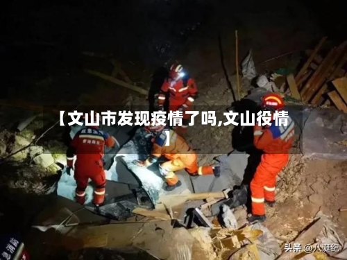 【文山市发现疫情了吗,文山役情】