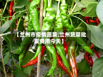 【兰州市疫情蔬菜,兰州蔬菜批发费用今天】