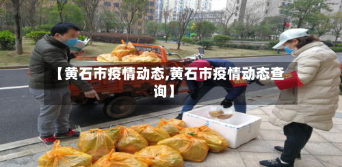 【黄石市疫情动态,黄石市疫情动态查询】-第2张图片