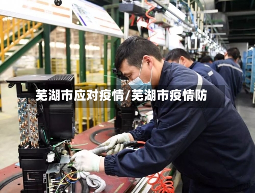 芜湖市应对疫情/芜湖市疫情防-第2张图片