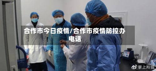 合作市今日疫情/合作市疫情防控办电话