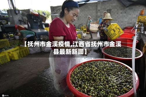 【抚州市金溪疫情,江西省抚州市金溪县最新新闻】-第2张图片