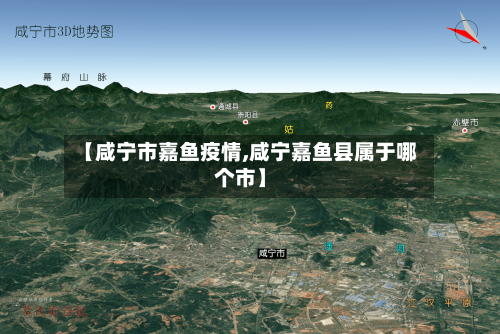 【咸宁市嘉鱼疫情,咸宁嘉鱼县属于哪个市】