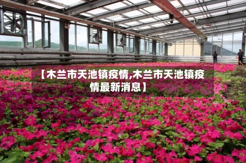 【木兰市天池镇疫情,木兰市天池镇疫情最新消息】