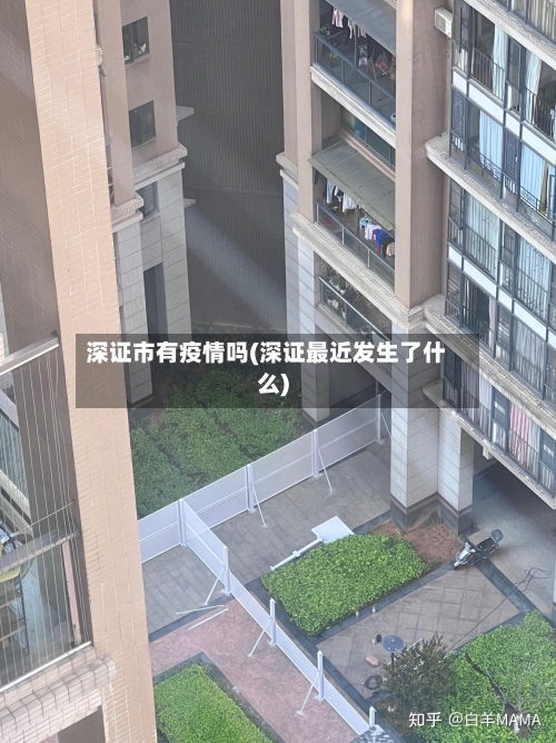深证市有疫情吗(深证最近发生了什么)-第3张图片