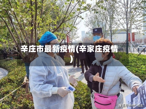 辛庄市最新疫情(辛家庄疫情)