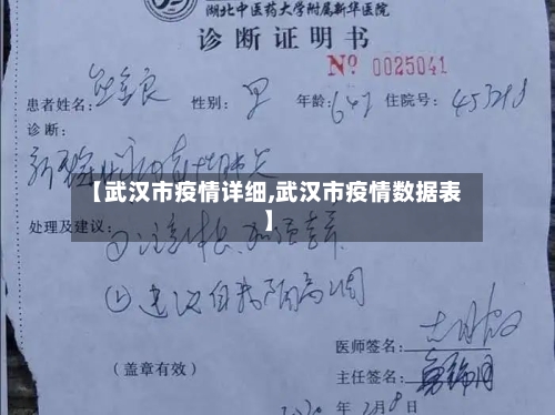 【武汉市疫情详细,武汉市疫情数据表】-第2张图片