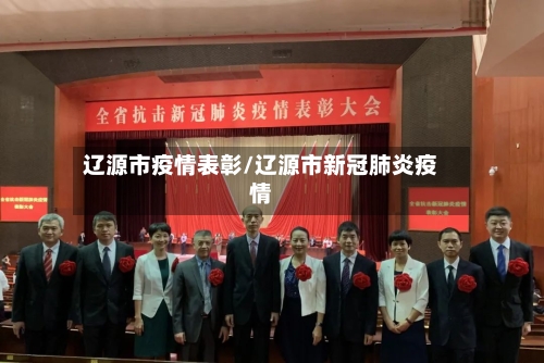 辽源市疫情表彰/辽源市新冠肺炎疫情