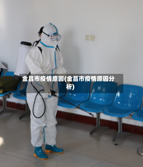 金昌市疫情原因(金昌市疫情原因分析)-第2张图片
