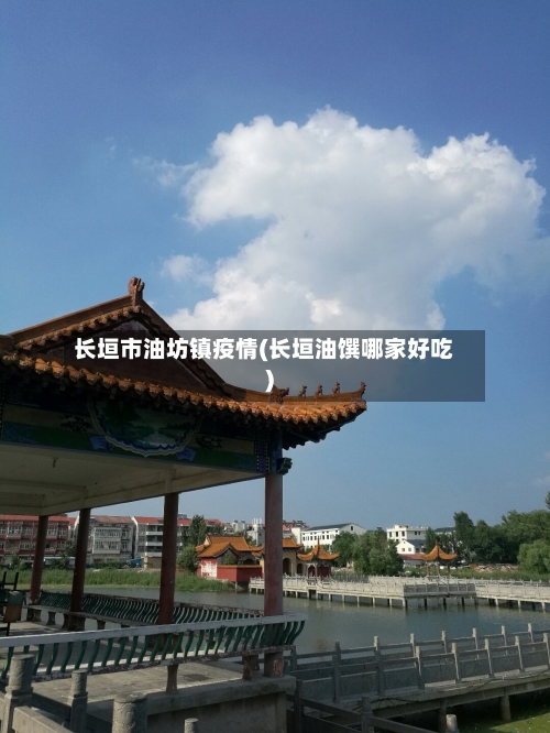 长垣市油坊镇疫情(长垣油馔哪家好吃)