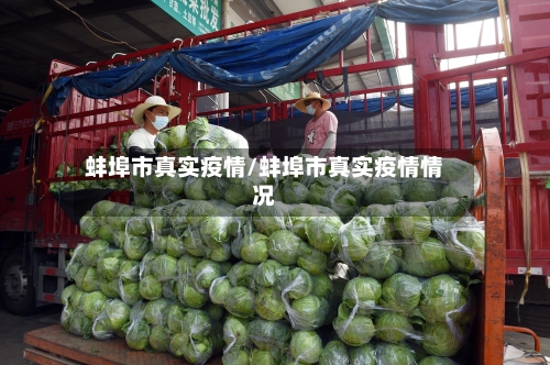 蚌埠市真实疫情/蚌埠市真实疫情情况