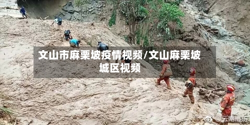 文山市麻栗坡疫情视频/文山麻栗坡城区视频-第2张图片