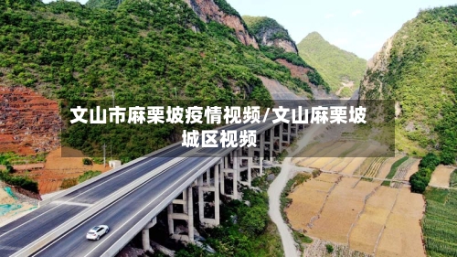 文山市麻栗坡疫情视频/文山麻栗坡城区视频