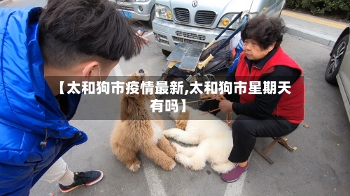 【太和狗市疫情最新,太和狗市星期天有吗】