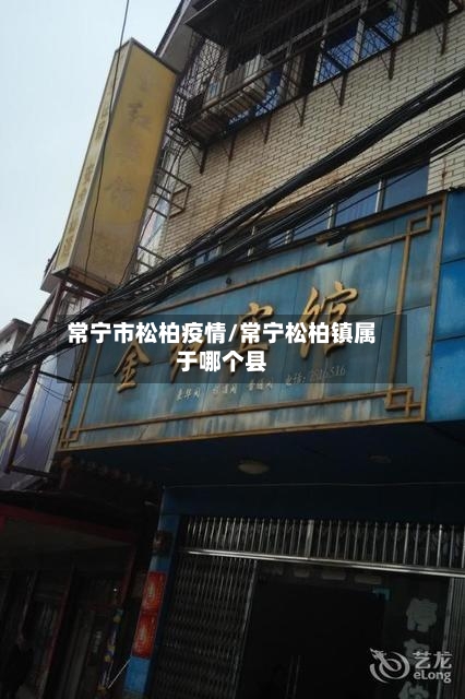 常宁市松柏疫情/常宁松柏镇属于哪个县