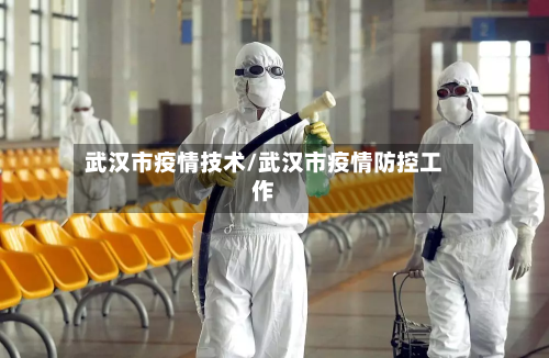武汉市疫情技术/武汉市疫情防控工作