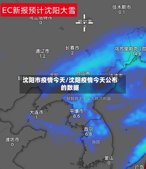 沈阳市疫情今天/沈阳疫情今天公布的数据