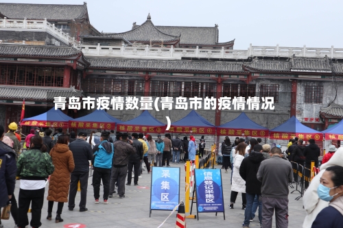 青岛市疫情数量(青岛市的疫情情况)