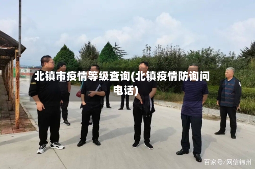 北镇市疫情等级查询(北镇疫情防询问电话)-第3张图片