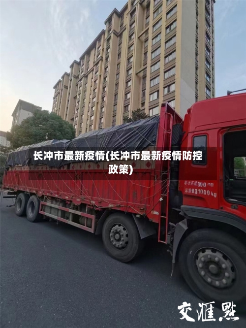 长冲市最新疫情(长冲市最新疫情防控政策)-第3张图片