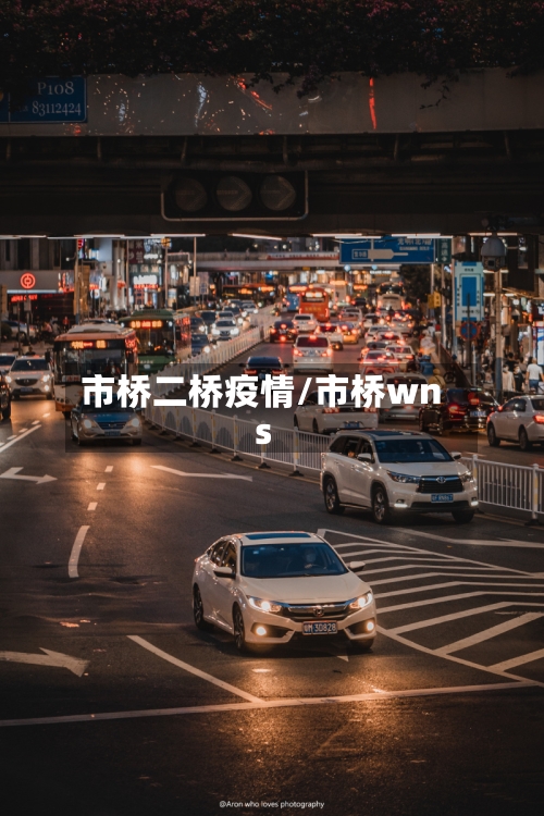 市桥二桥疫情/市桥wns