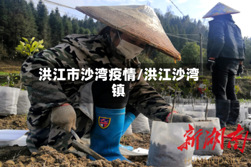 洪江市沙湾疫情/洪江沙湾镇