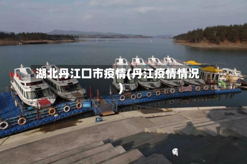 湖北丹江囗市疫情(丹江疫情情况)