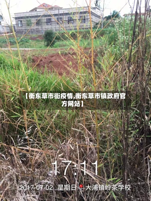 【衡东草市街疫情,衡东草市镇政府官方网站】-第3张图片