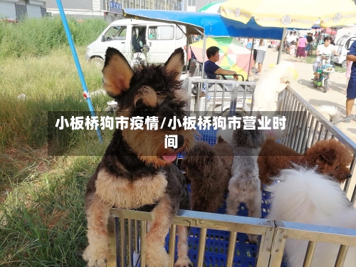 小板桥狗市疫情/小板桥狗市营业时间