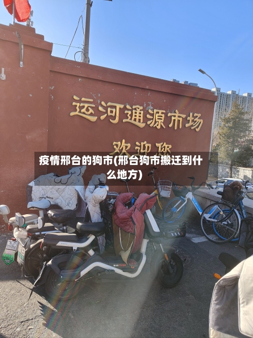 疫情邢台的狗市(邢台狗市搬迁到什么地方)