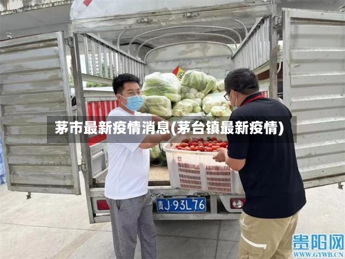 茅市最新疫情消息(茅台镇最新疫情)