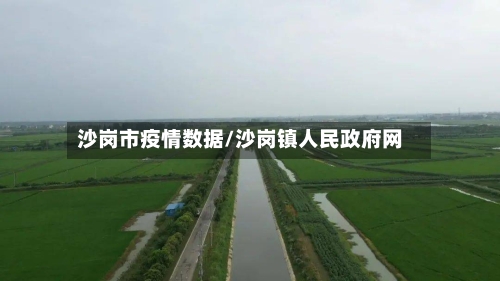 沙岗市疫情数据/沙岗镇人民政府网-第2张图片