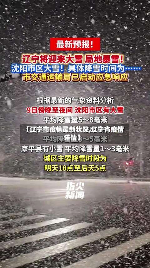 【辽宁市疫情最新状况,辽宁省疫情详情】-第2张图片