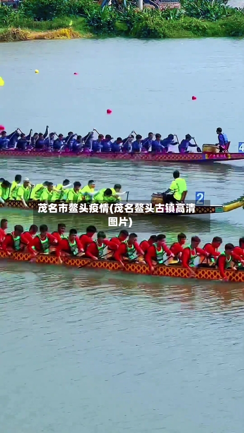茂名市鳌头疫情(茂名鳌头古镇高清图片)-第2张图片