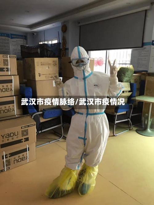 武汉市疫情脉络/武汉市疫情况-第2张图片