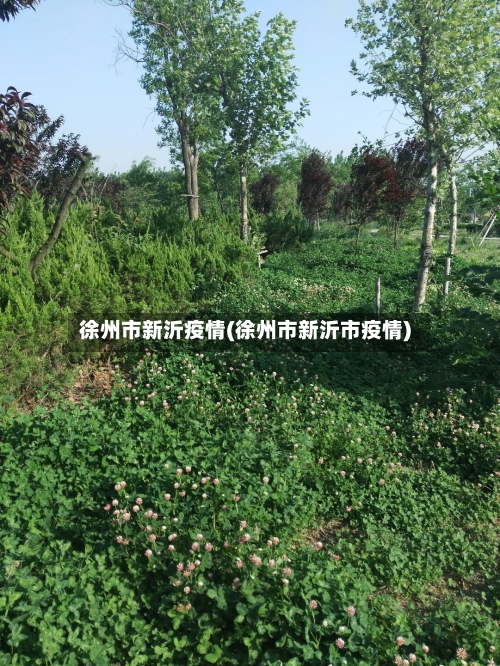 徐州市新沂疫情(徐州市新沂市疫情)