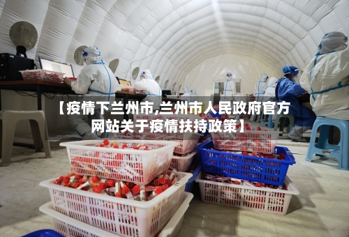 【疫情下兰州市,兰州市人民政府官方网站关于疫情扶持政策】-第2张图片