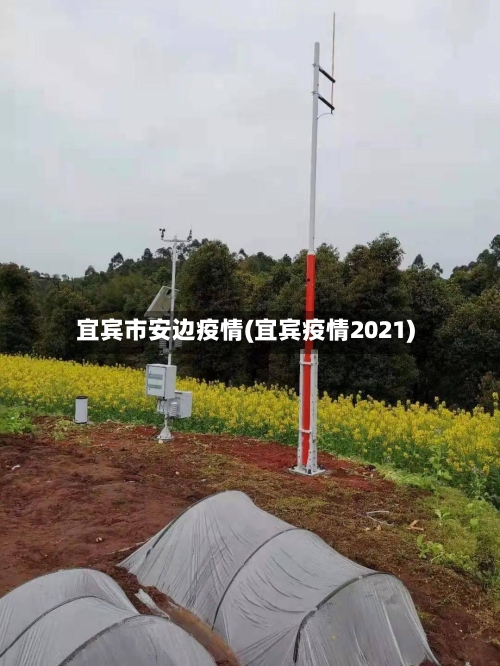 宜宾市安边疫情(宜宾疫情2021)
