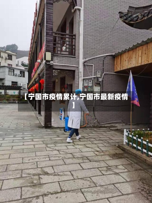 【宁国市疫情累计,宁国市最新疫情】